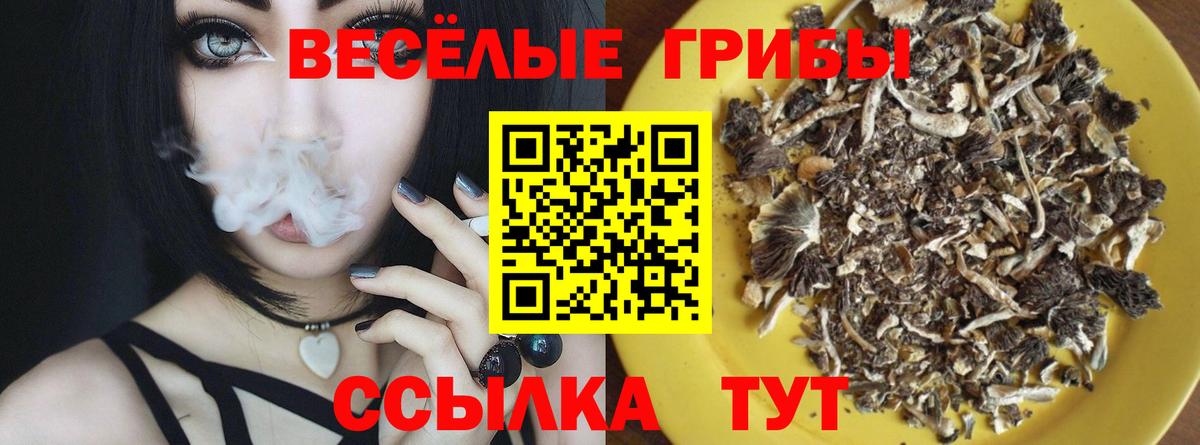 Борисоглебск  Псилоцибиновые грибы GOLDEN TEACHER  Вход с VPN  Галлюциногенные грибы мицелий 